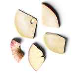 Freeze-dried Swiss apple snack for kids & adults