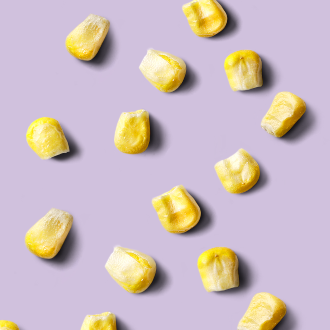 froodies freeze dried sweet corn