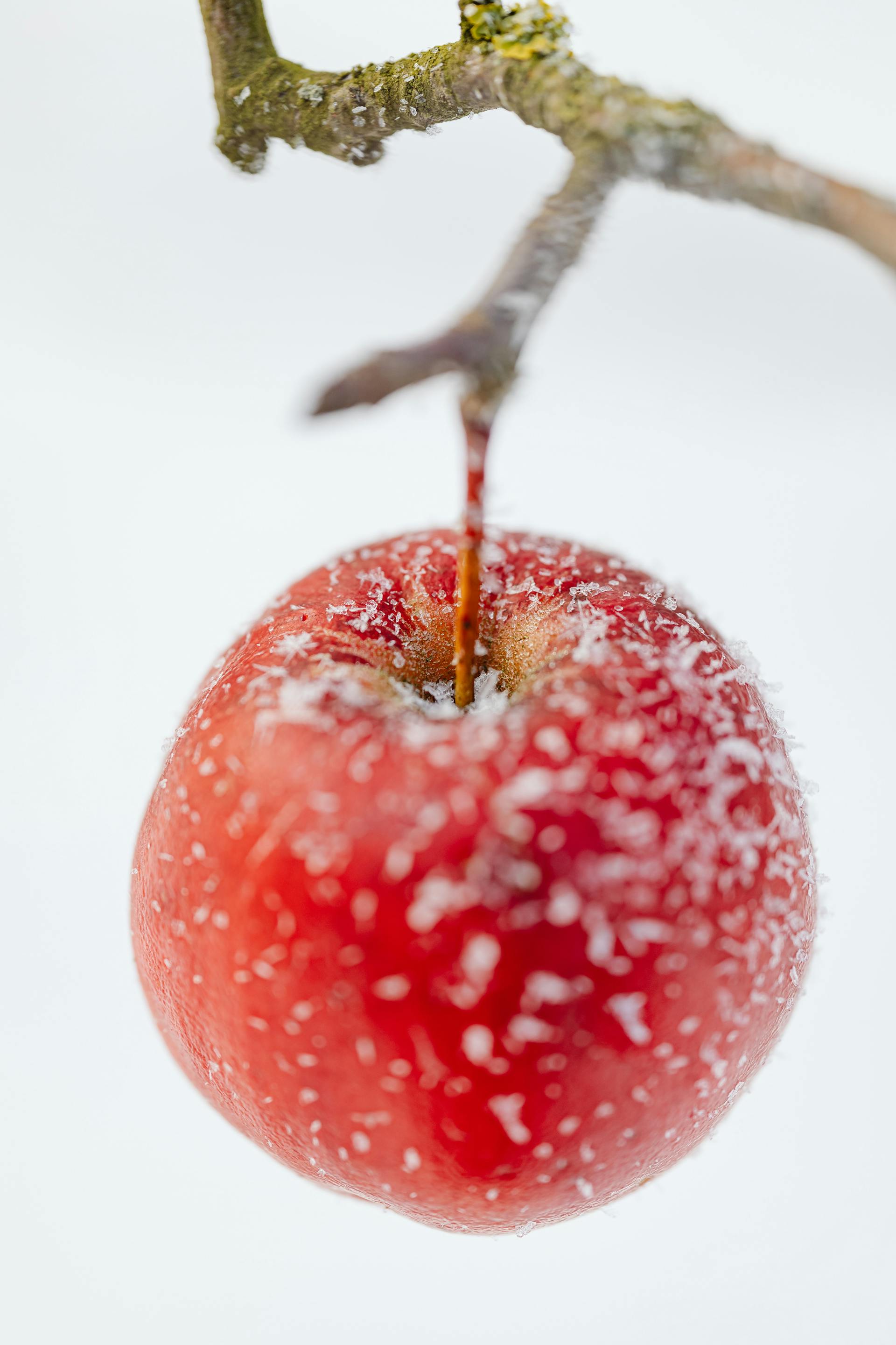 frozen natural fresh apple
